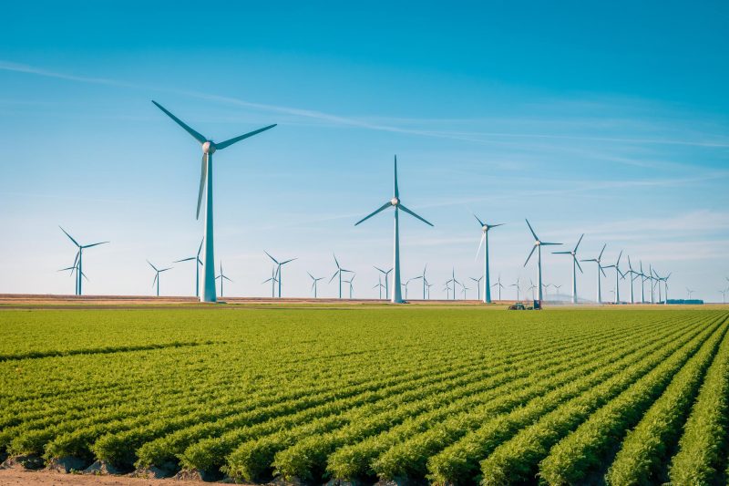 Wind generator turbine in a green field