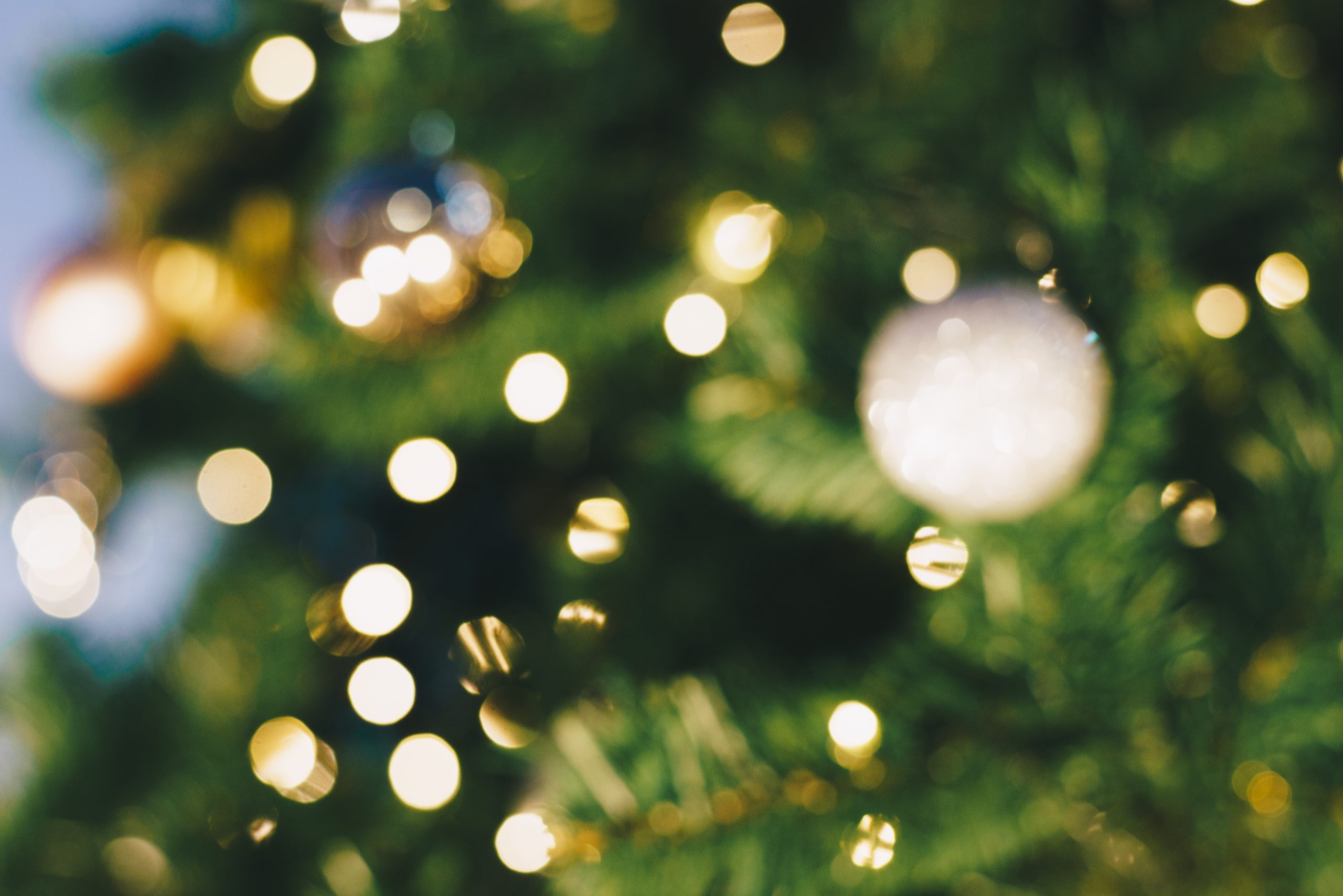 Abstract blurred ball gift decorate on pin tree christmas celebrate